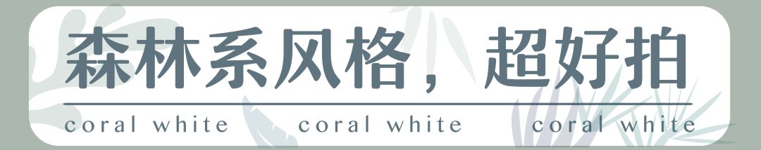 婢虫床妫灄椁愬巺,brunch缃戠孩椁愬巺