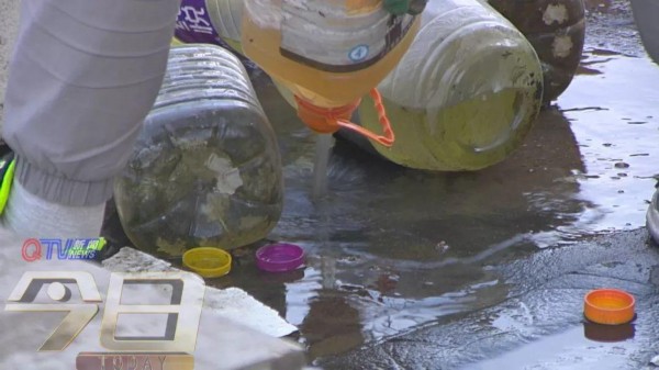 青岛这个居民楼顶变“开心农场”!近百个泡沫盒种了各种蔬菜