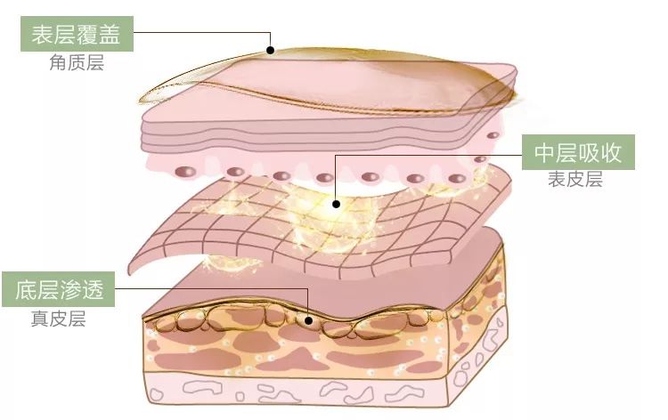 这款急救弹性蛋白贴,每天一片赶走干纹,还你天鹅美颈