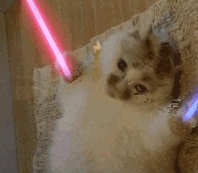 直接砍掉600大洋!让我每天都感叹活着真好的胶囊机!终于打折了