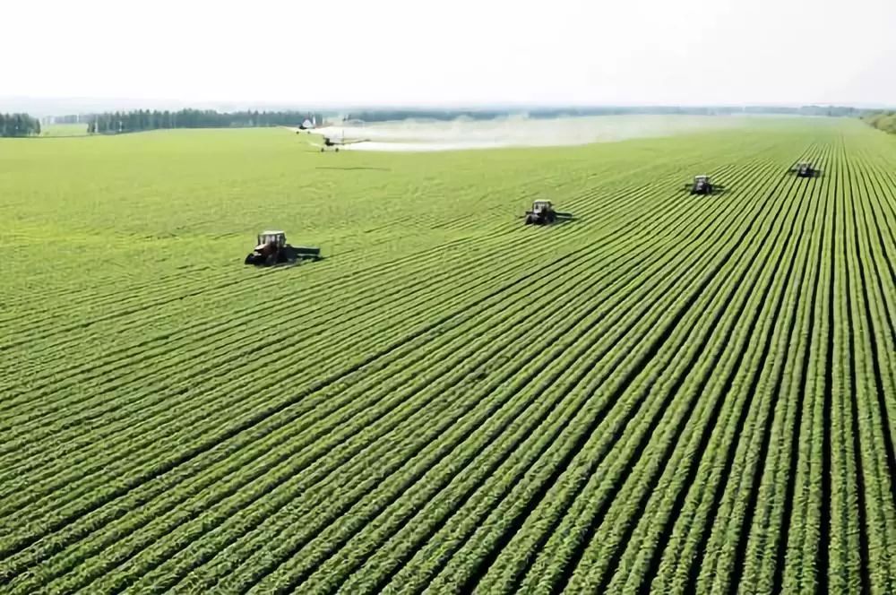 化肥为什么被称为“土地*片鸦**”?真相曝光了