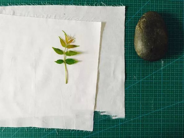 植物染布简单教程,绿色植物扎染怎么做