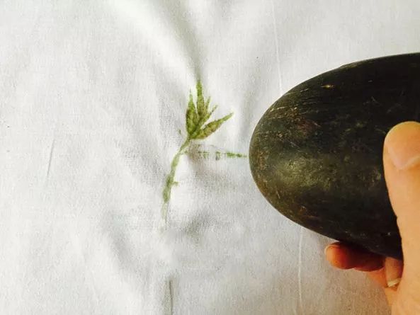 植物染布简单教程,绿色植物扎染怎么做