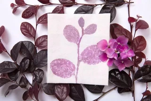 植物染布简单教程,绿色植物扎染怎么做