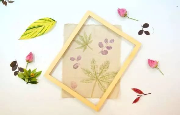 植物染布简单教程,绿色植物扎染怎么做