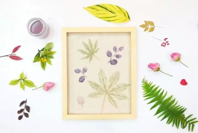 植物染布简单教程,绿色植物扎染怎么做