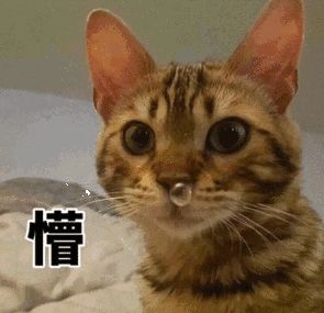 大促攻略|连这几样东西都能集齐？朋友，你的眼光很毒哦