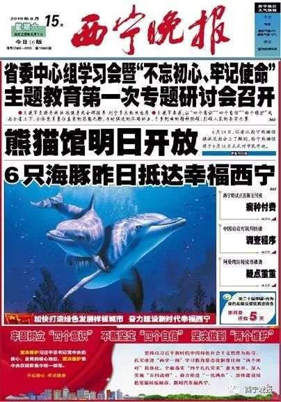 青海十大宾馆黑榜,青海五星级酒店名单