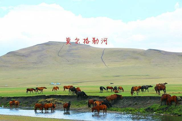 嘉瑞日记之呼伦贝尔——让呼伦贝尔风知道，让呼伦贝尔云知道