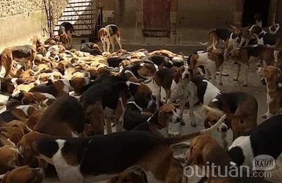 「旅游」7月15日确认发！学生价20欧起！舍维尼香波堡布卢瓦一日！穷游卢瓦尔河谷三大皇家城堡！庆祝文艺复兴500周年