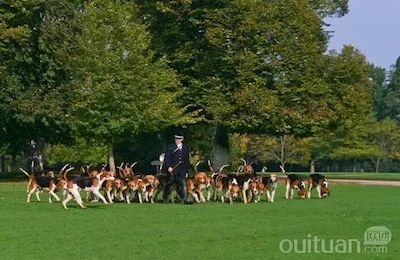 「旅游」7月15日确认发！学生价20欧起！舍维尼香波堡布卢瓦一日！穷游卢瓦尔河谷三大皇家城堡！庆祝文艺复兴500周年