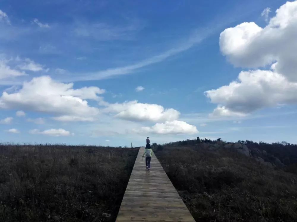 父亲节炫父舞蹈,父亲节炫父