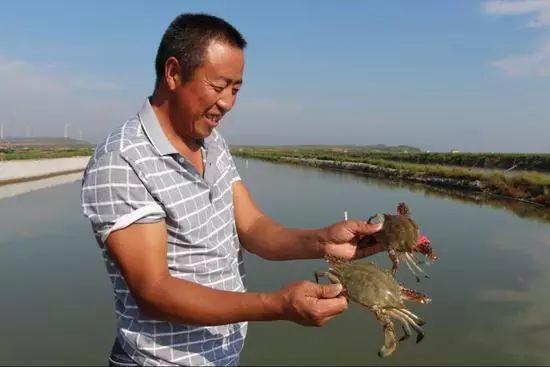 蟹塘水浑杂质多,新挖的蟹塘水很浑怎么办