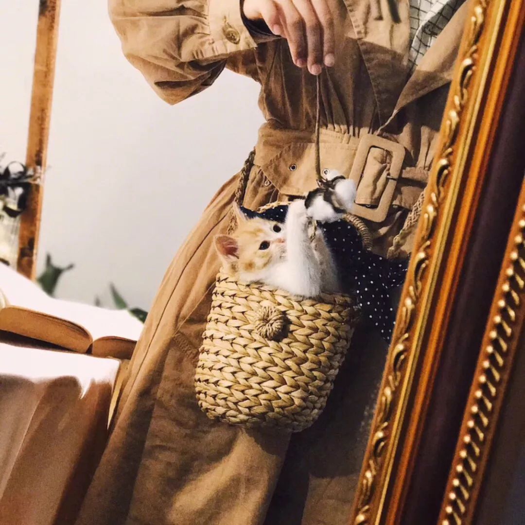 不是菜篮子不好看，这50款明星潮人都爱的草编包，才没有过时