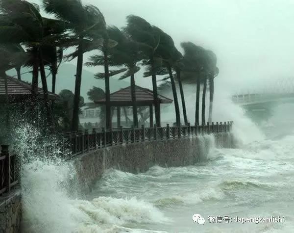 王莽为什么可以当皇帝,王莽是不是一个合格的皇帝