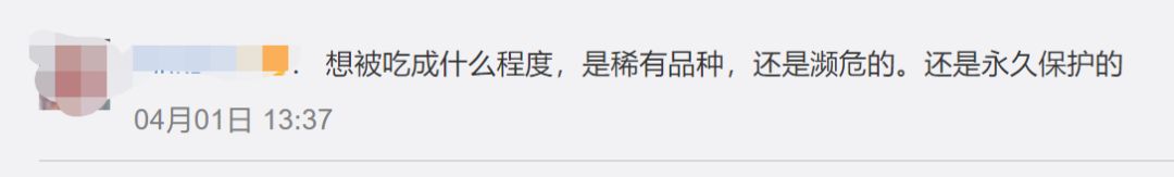 超级凶的青蟹,澳洲青蟹泛滥成灾