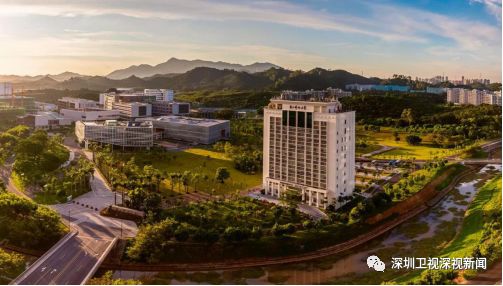 深圳南方科技大学排名,探索深圳高校