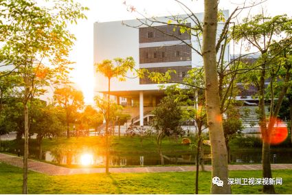 深圳南方科技大学排名,探索深圳高校