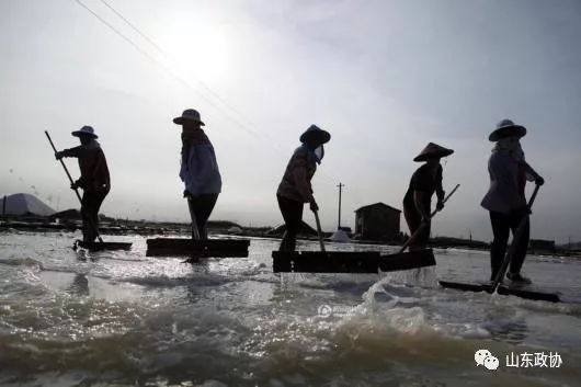 有心同读丨省政协原副主席陈光温情回首:老八队,往事并不如烟