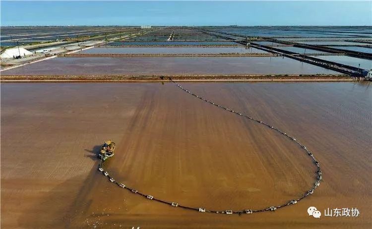 有心同读丨省政协原副主席陈光温情回首:老八队,往事并不如烟