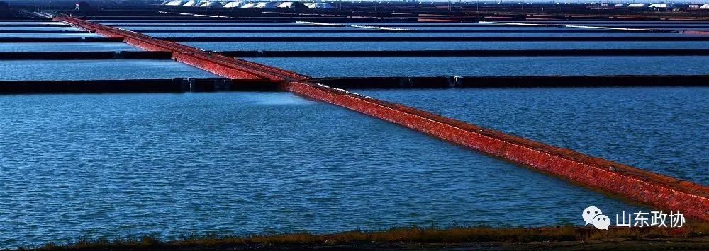 有心同读丨省政协原副主席陈光温情回首:老八队,往事并不如烟