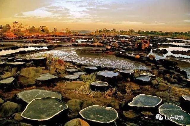 有心同读丨省政协原副主席陈光温情回首:老八队,往事并不如烟