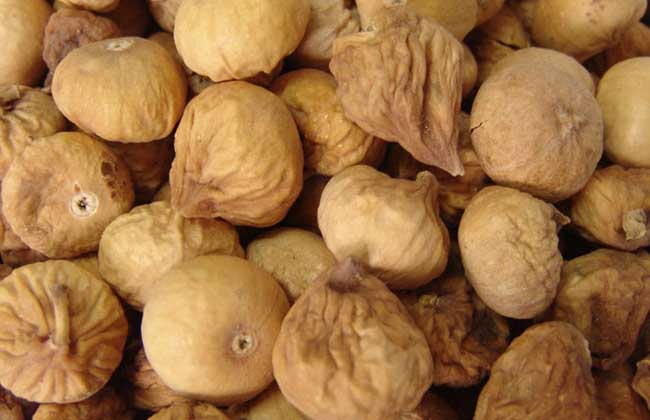 新鲜无花果怎么保存,无花果叶子怎么保存