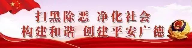 「庆祝新中国成立70周年·优秀企业巡礼」实干之姿铸就竹昌未来访广德竹昌电子科技有限公司总经理蒋红兵