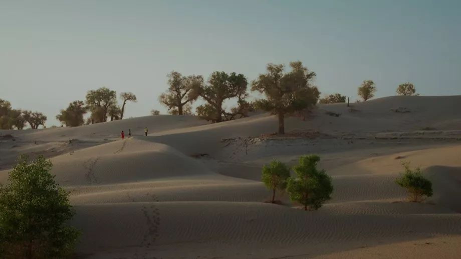 百里挑一2020全场,百里挑一2011全部视频大全