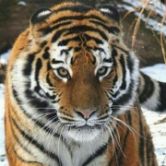 北新路桥股票601020,北新路桥股吧东方财富网