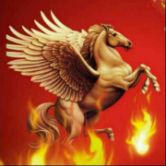 红阳能源股吧最新消息,红阳能源投资股份有限公司