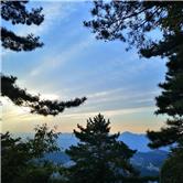 北新路桥股票601020,北新路桥股吧东方财富网