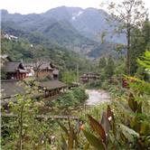 华星创业股吧,华星创业股吧千股千评