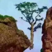 山鹰纸业股吧,山鹰纸业股票股吧评论