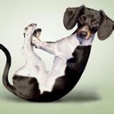 太极实业同花顺股吧,太极实业股吧603633