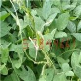 骆驼股份股吧行情走势图,骆驼股份股票