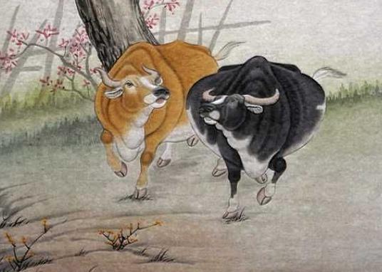 属牛农历一月几日出生最好,属牛人二月哪几日出生不好