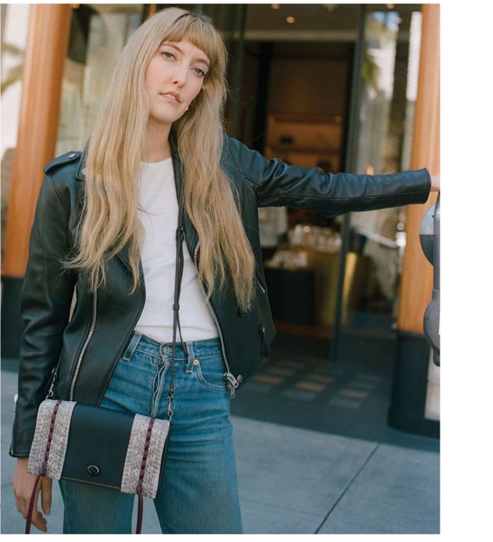 coach恐龙变身,fashion艺术家