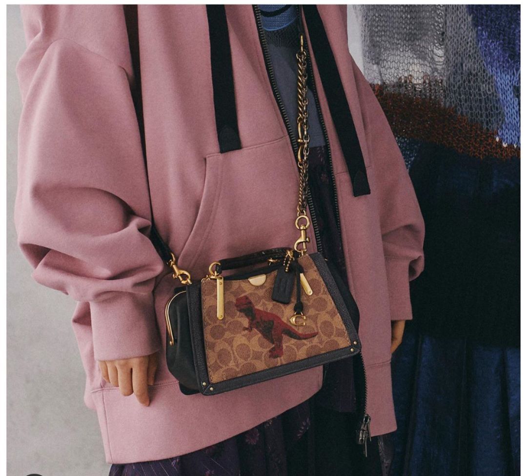coach恐龙变身,fashion艺术家