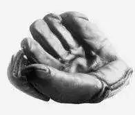 coach恐龙变身,fashion艺术家