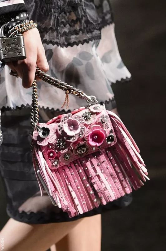 coach恐龙变身,fashion艺术家