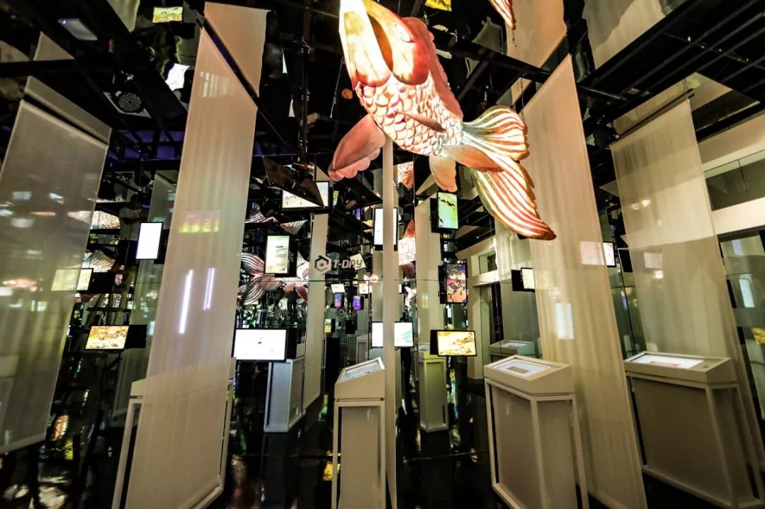 遇见未来邂逅文明腾讯T-DAY带你穿越盛世长安