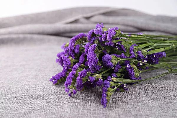 花之声新疆歌曲,花之声完整版原唱