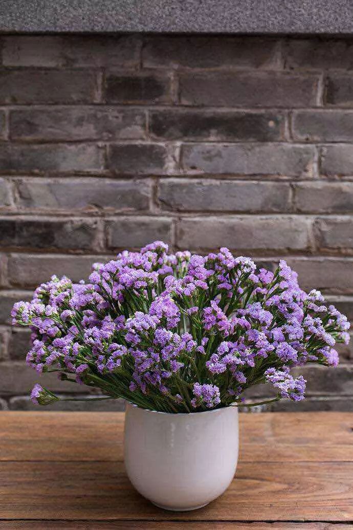 花之声新疆歌曲,花之声完整版原唱