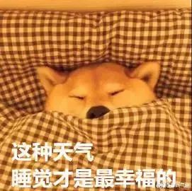 查看长春十五天的天气,关于长春未来一周天气