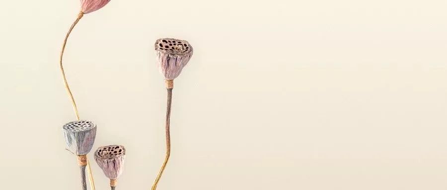 卵巢切除后有哪些变化,切除卵巢后的感受