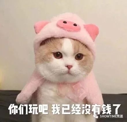 宠物用品微商怎么做,宠物用品微商的东西靠谱吗