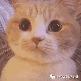 宠物用品微商怎么做,宠物用品微商的东西靠谱吗