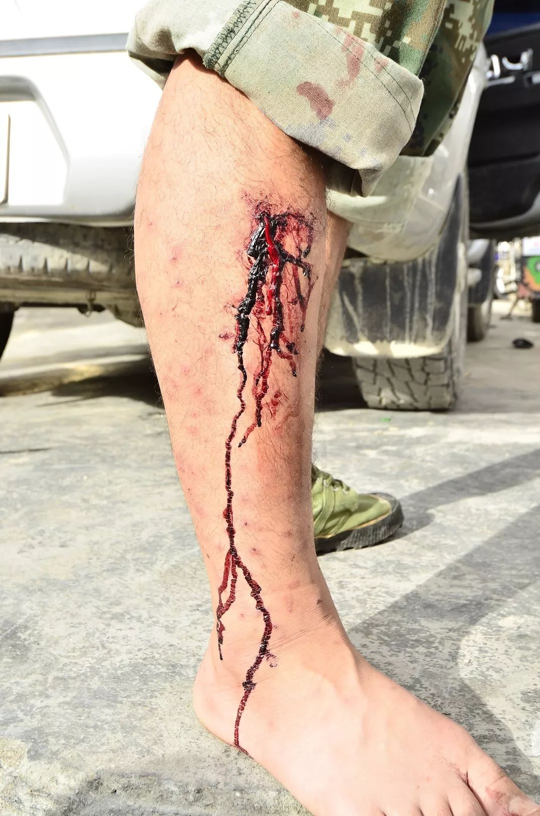 和隐翅虫差不多的黑色吸血虫,少见的吸血虫