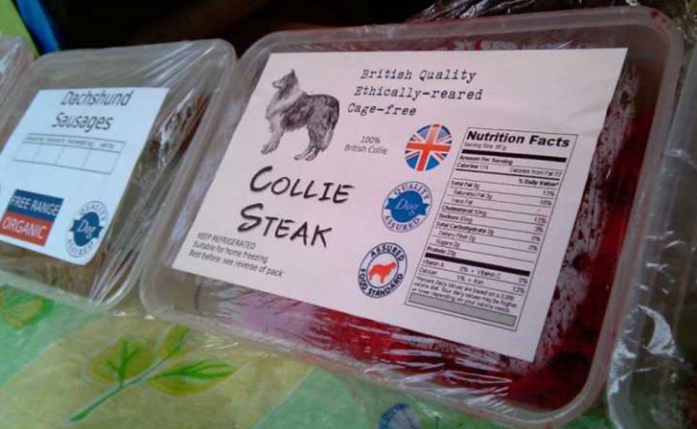 狗肉禁食的最佳方法,狗肉该不该吃完整版